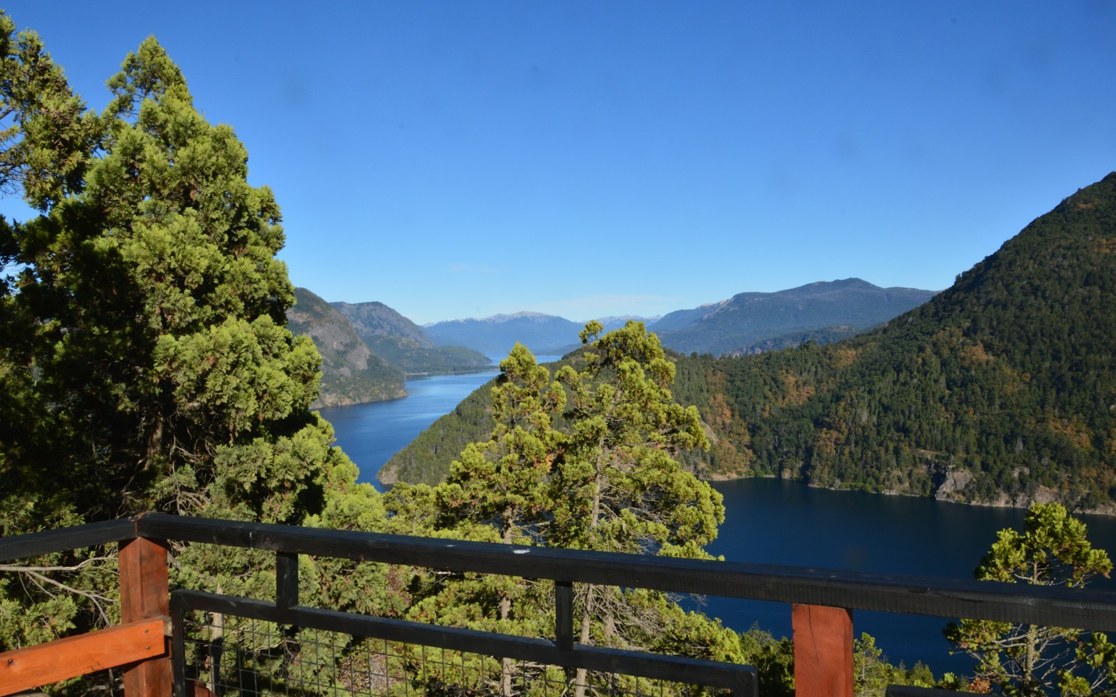 Imagen ilustrativa para Patagonia: un paisaje para el futuro